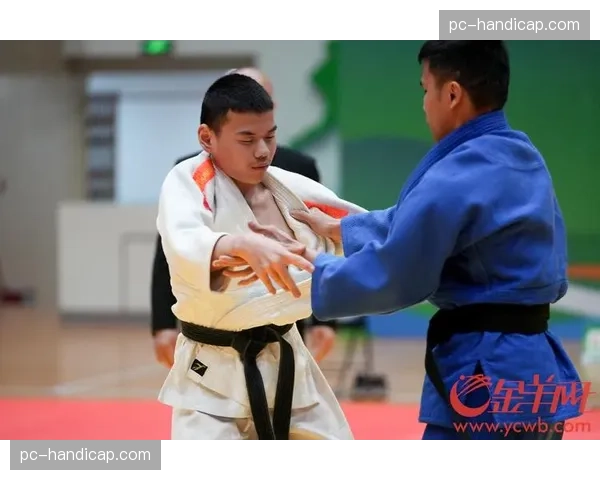 青少年柔道选手常见运动损伤分析及预防措施研讨会召开